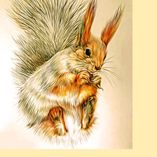 Схема вышивки «Серия "Грызуны". Белочка»