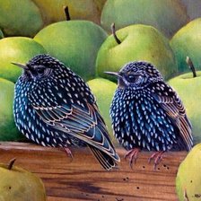 Схема вышивки «№2252498»