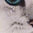 Предпросмотр схемы вышивки «Зимний котик.» (№2252501)