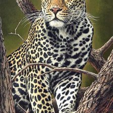 Схема вышивки «Leopardo.»