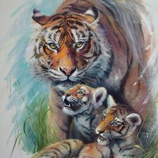 Схема вышивки «Familhia de tigres.»