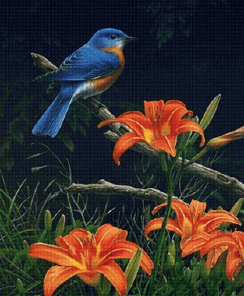 Pássaro e flores. - flores .pássaro, lírios. - предпросмотр