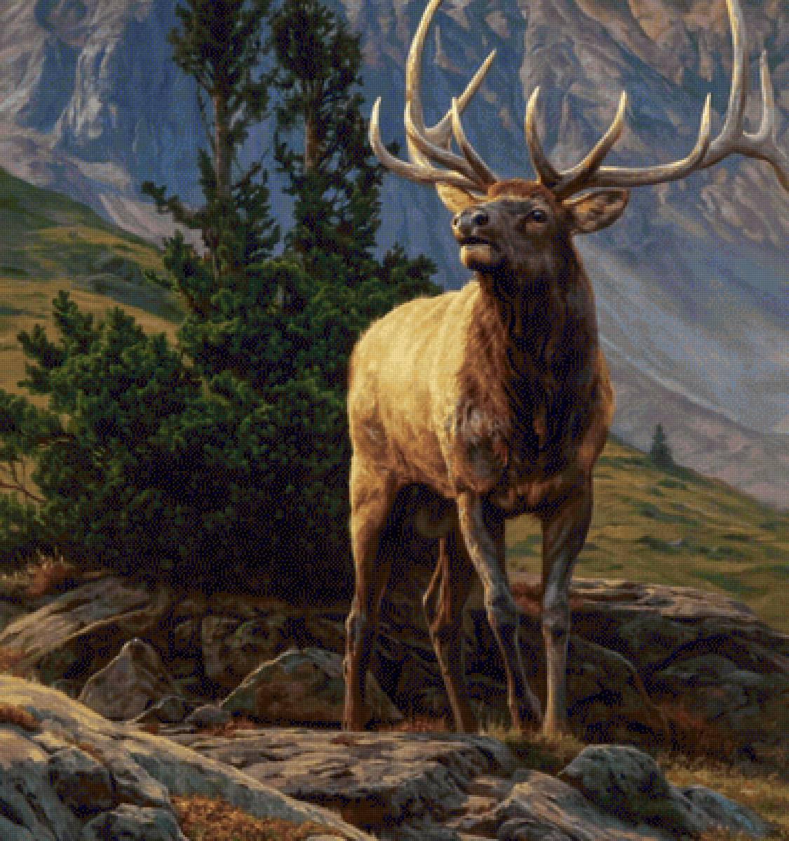 paisaje2 - naturaleza - предпросмотр