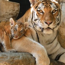 Схема вышивки «№2253156»