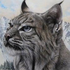 Схема вышивки «Gato.selvagem.»