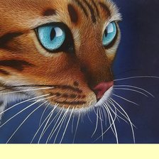 Схема вышивки «кот»