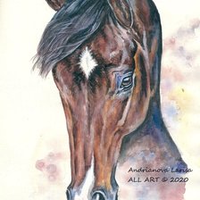 Схема вышивки «Портрет гнедого»