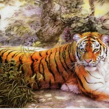 Схема вышивки «Тигыр»