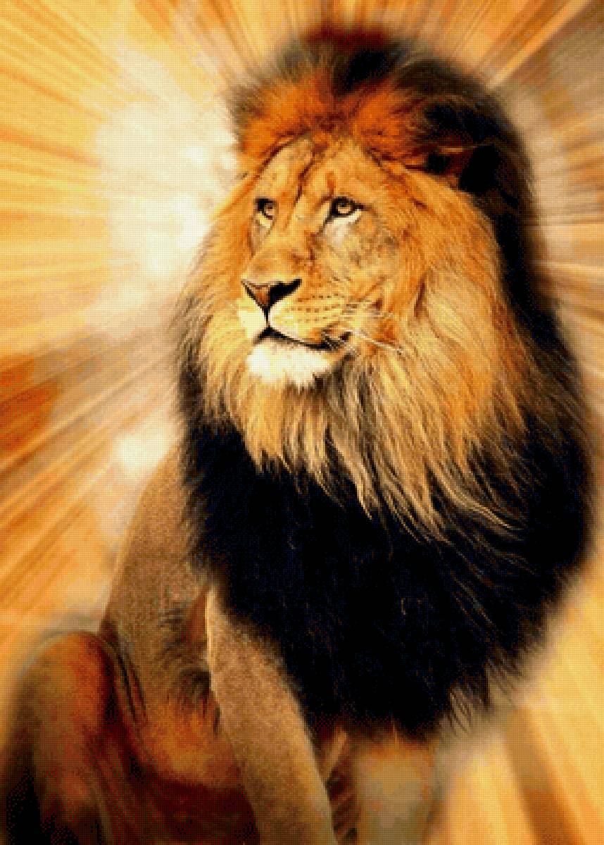 LEÃO - animais. - предпросмотр