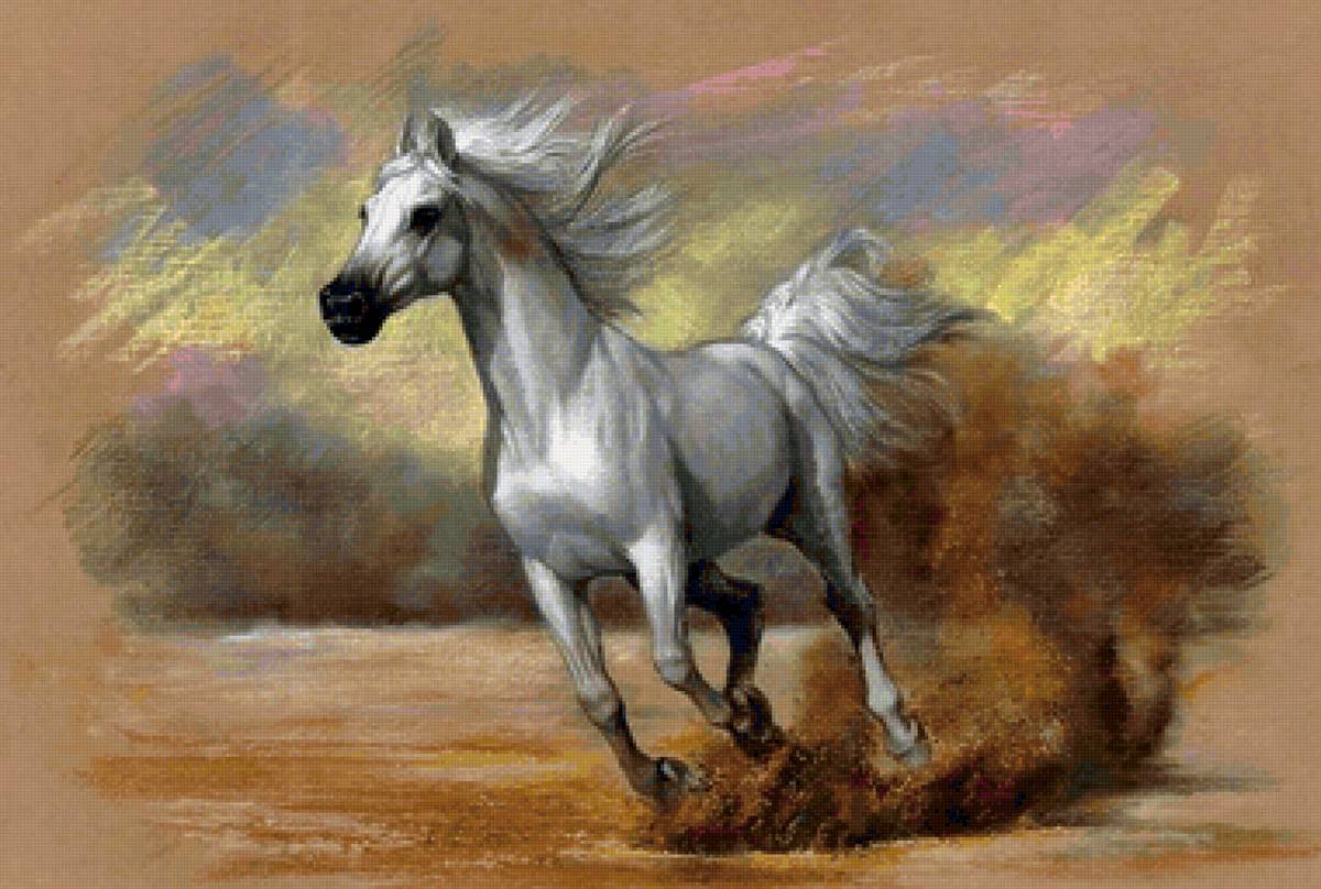 Cavalo ,árabe. - animais. - предпросмотр