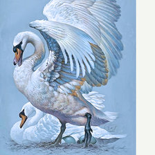 Схема вышивки «Серия "Птицы". Лебеди, пара»