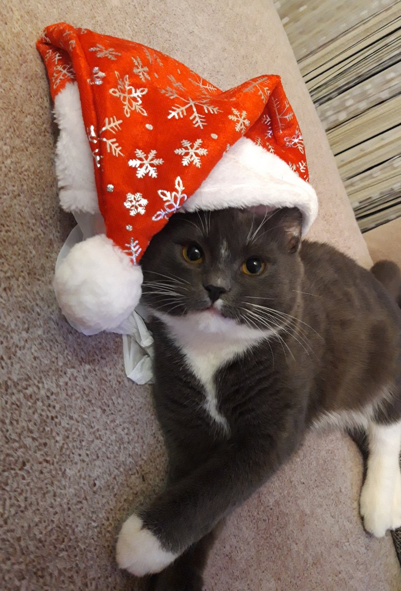 Дед мороз - оригинал