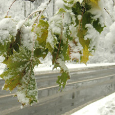 Зимняя дорога