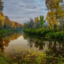 Схема вышивки «Речка»