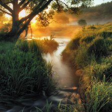 Туман над рекой