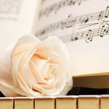 Схема вышивки «Роза»