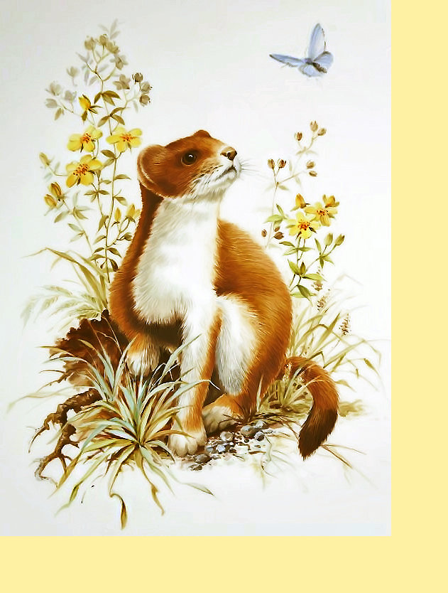 Серия "Животные". - животные - оригинал