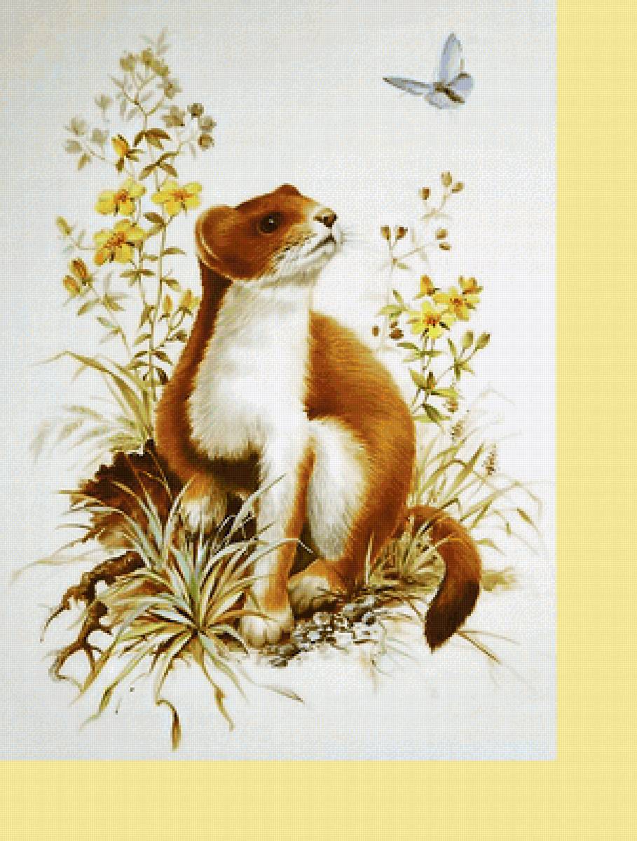 Серия "Животные". - животные - предпросмотр