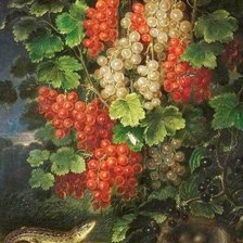 Схема вышивки «натюрморт»