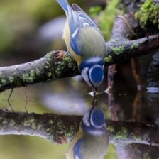 Схема вышивки «paisaje»