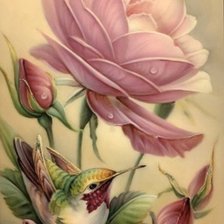 Схема вышивки «Colibri#4»