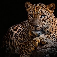 Схема вышивки «№2255269»