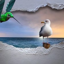 Схема вышивки «№2255401»