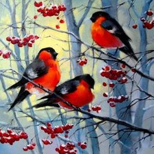 Схема вышивки «снегири»