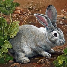 Схема вышивки «Coelho.»