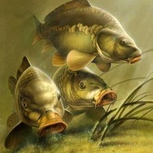 Схема вышивки «Peixes carpas.»