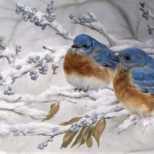 Winter birds