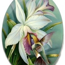 Схема вышивки «colibri 9»