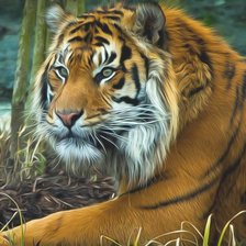 Схема вышивки «№2256226»