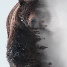 Схема вышивки «Медведь»