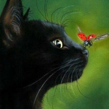 Схема вышивки «Черный кот»