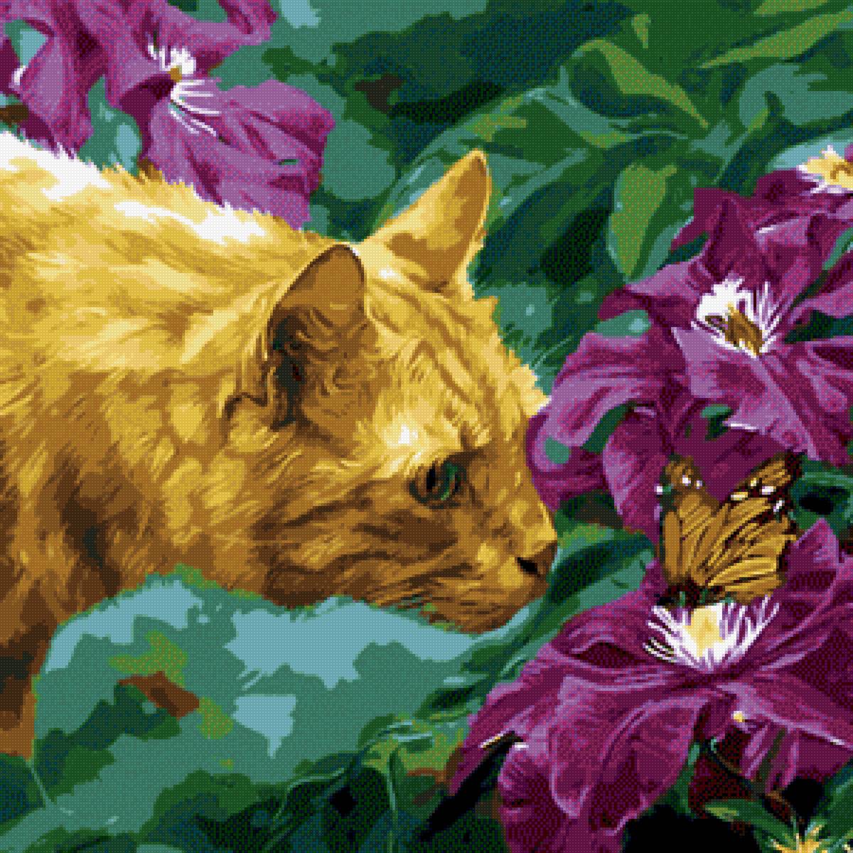 Рыжий кот - предпросмотр