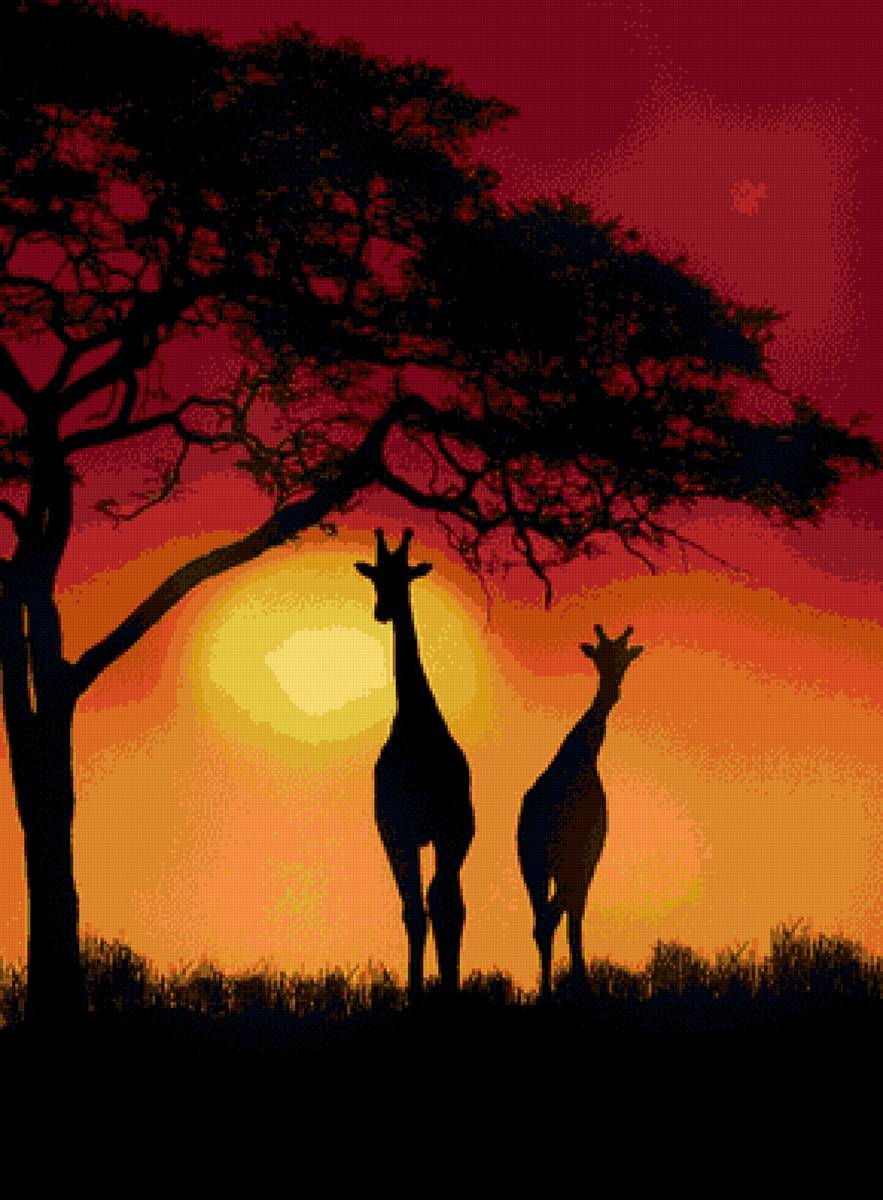 Закат в африке - жираф, закат, африка - предпросмотр