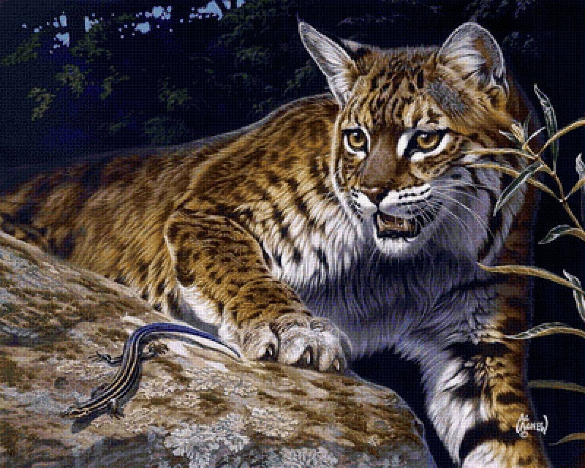 Дикая природа - природа, кошки, животные - предпросмотр