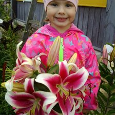 Схема вышивки «Алиса и лилии2»