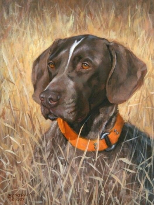 Друг - собака, животные, друг - оригинал