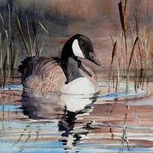 Схема вышивки «Уточка»