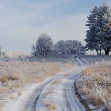 Схема вышивки «ЗАМОРОЗКИ 2»