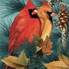 Схема вышивки «Cardeais.»