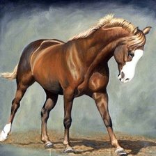 Схема вышивки «Cavalo.»