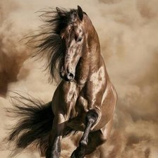 Схема вышивки «лошадь»