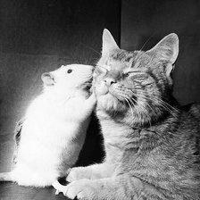 Схема вышивки «Расскажу тебе секрет»