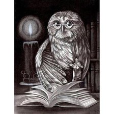 Схема вышивки «Мудрая сова»