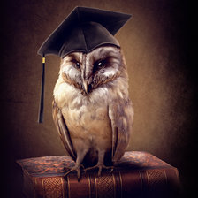 Схема вышивки «Мудрая сова»