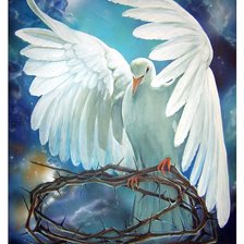 Схема вышивки «Pomba .»