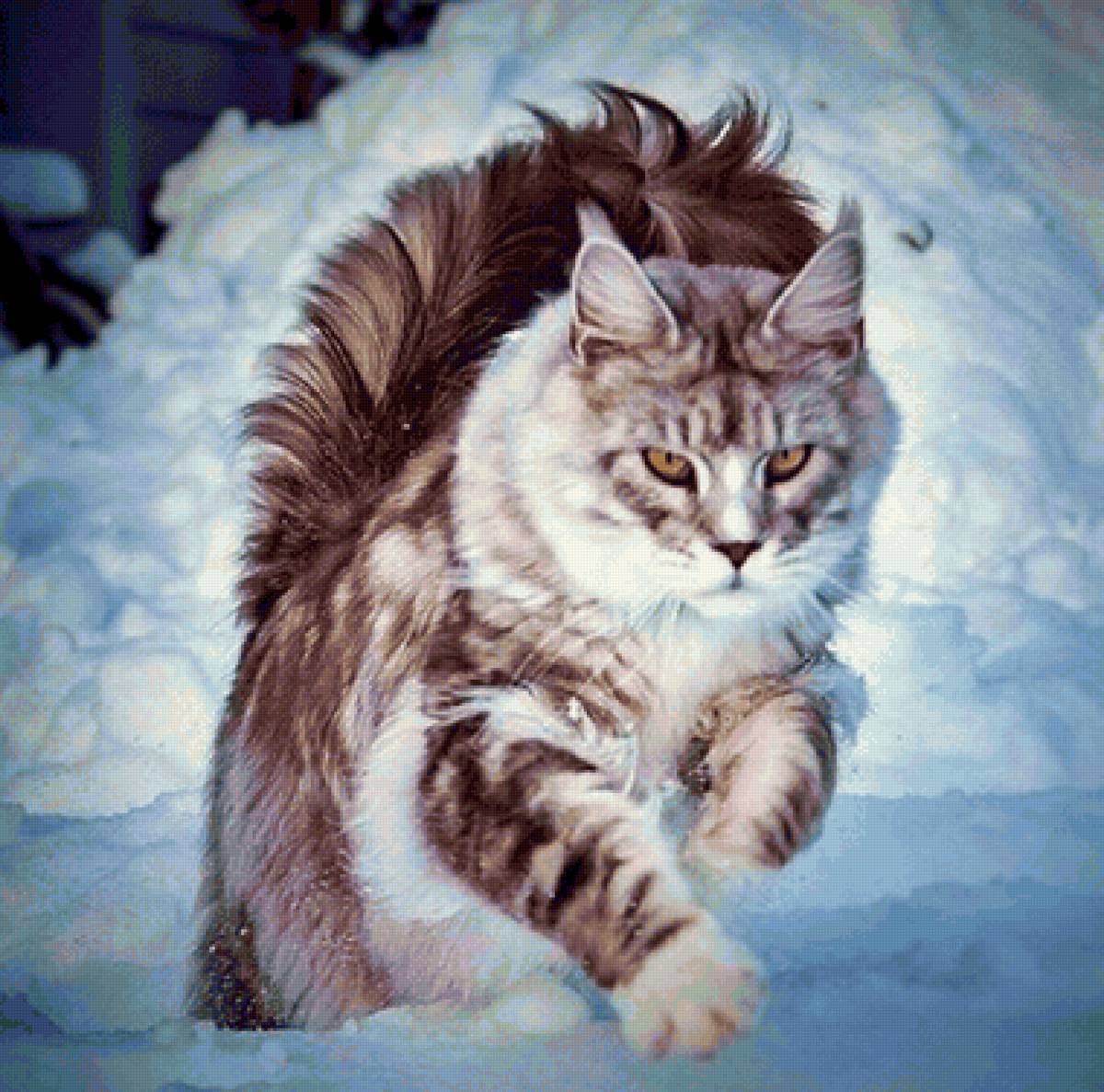 Gato. - animais. - предпросмотр